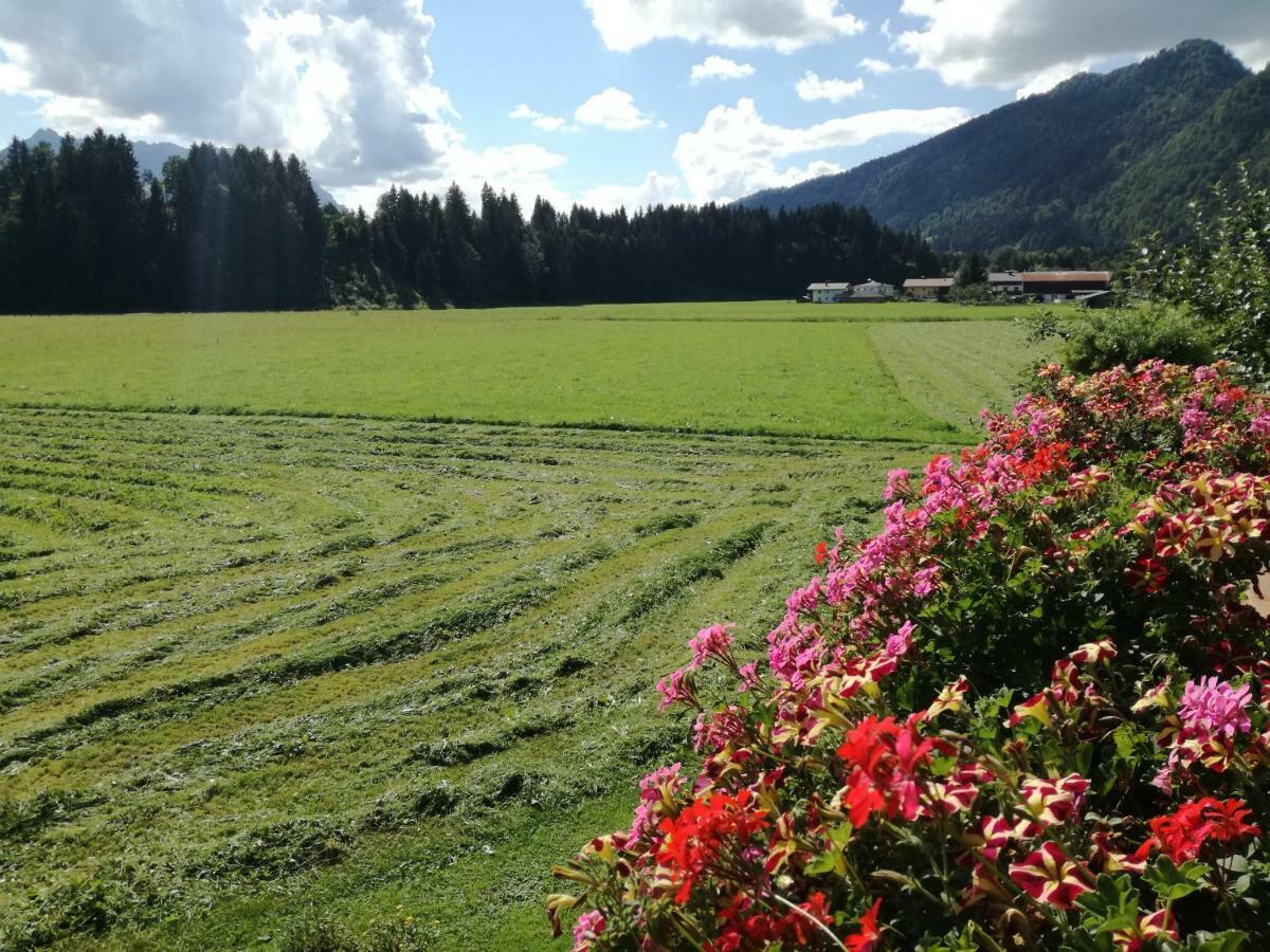 Gaestehaus Gruenbacher ケセン エクステリア 写真