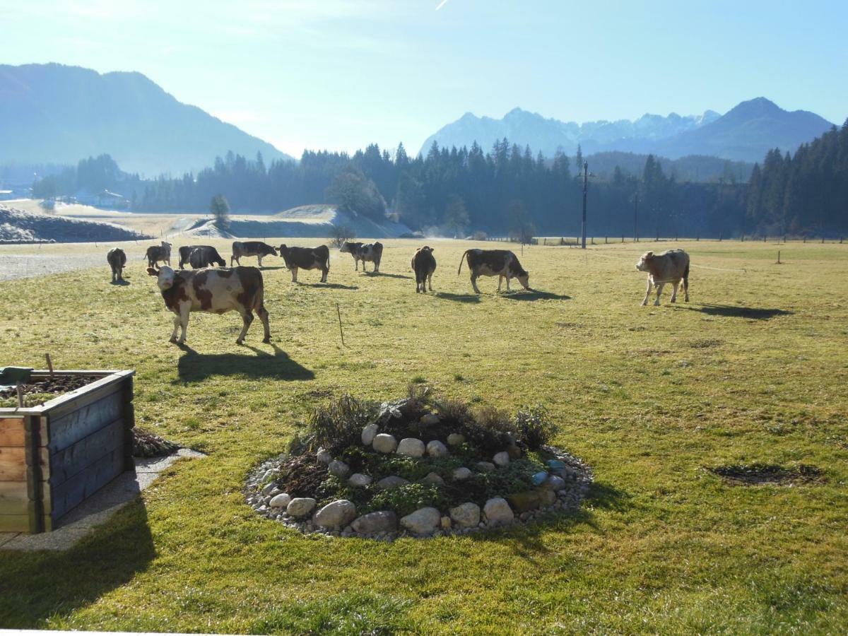 Gaestehaus Gruenbacher ケセン エクステリア 写真