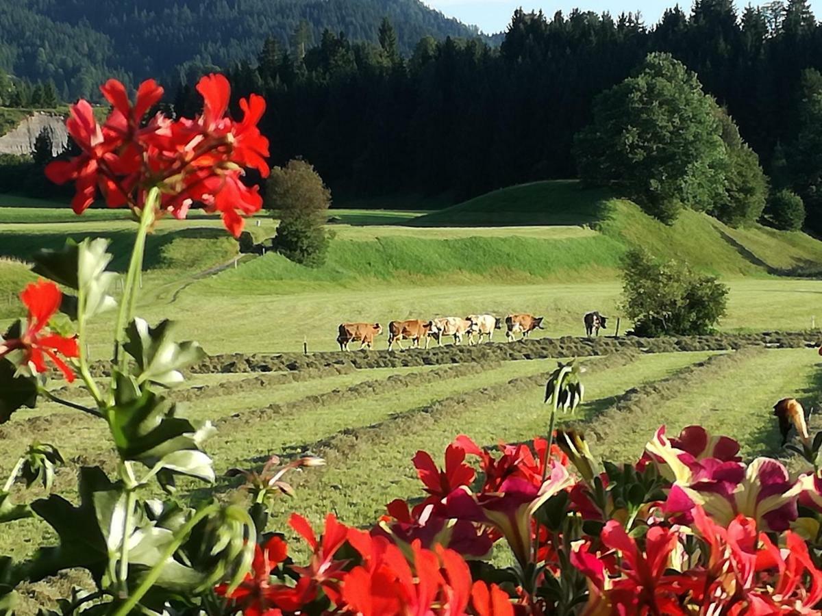 Gaestehaus Gruenbacher ケセン エクステリア 写真