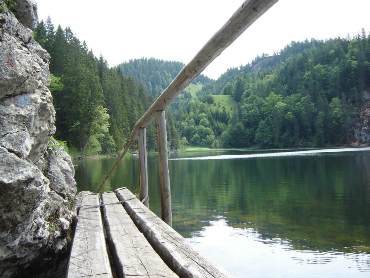 Gaestehaus Gruenbacher ケセン エクステリア 写真